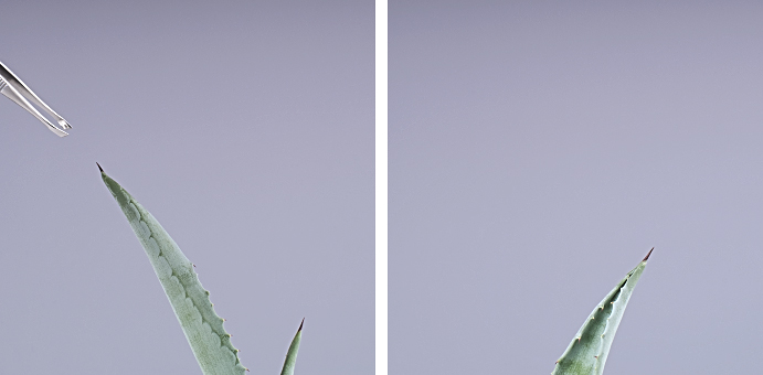 fotografie-pro-interier-Empty Aloe 01-02